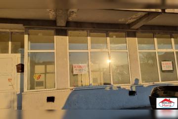 11_196.jpg