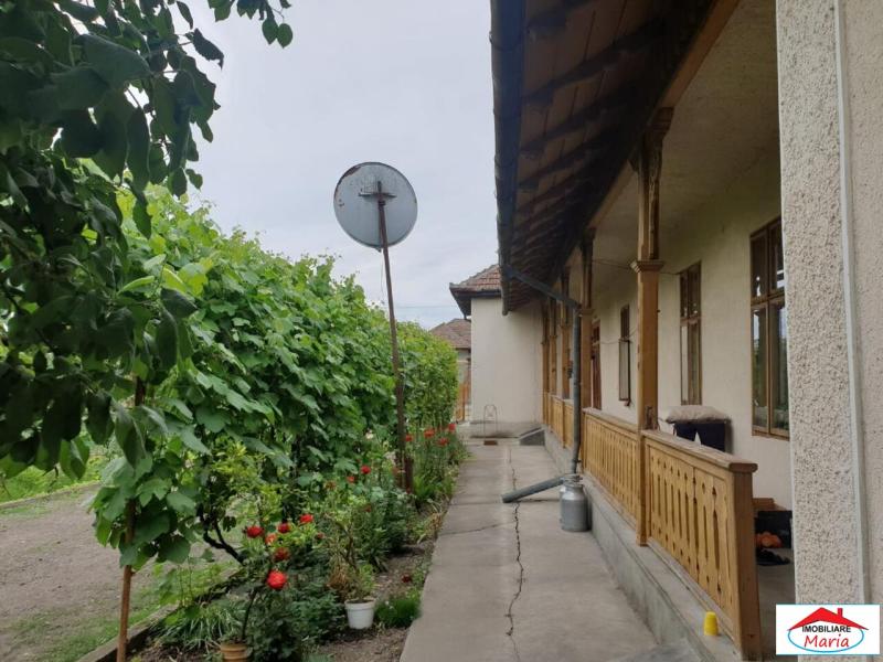 Image-5.jpg