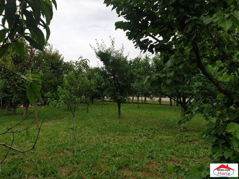 Image-8.jpg