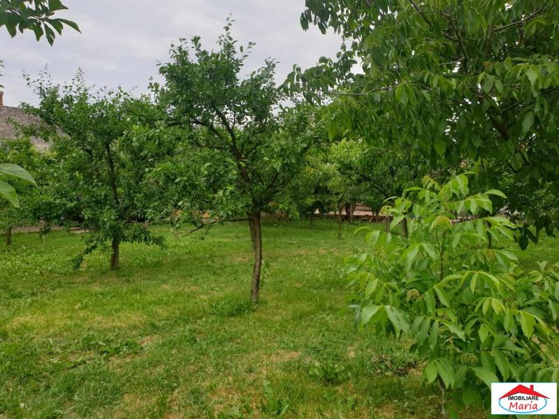 Image-9.jpg